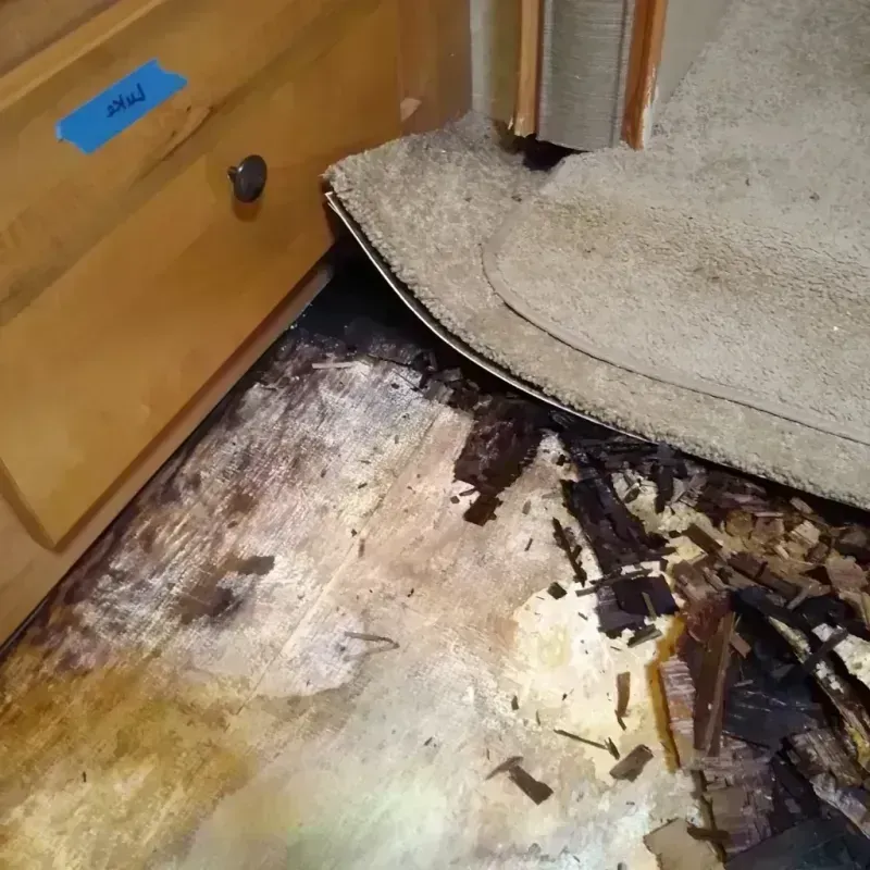 Wood Floor Water Damage in Travis Ranch, TX